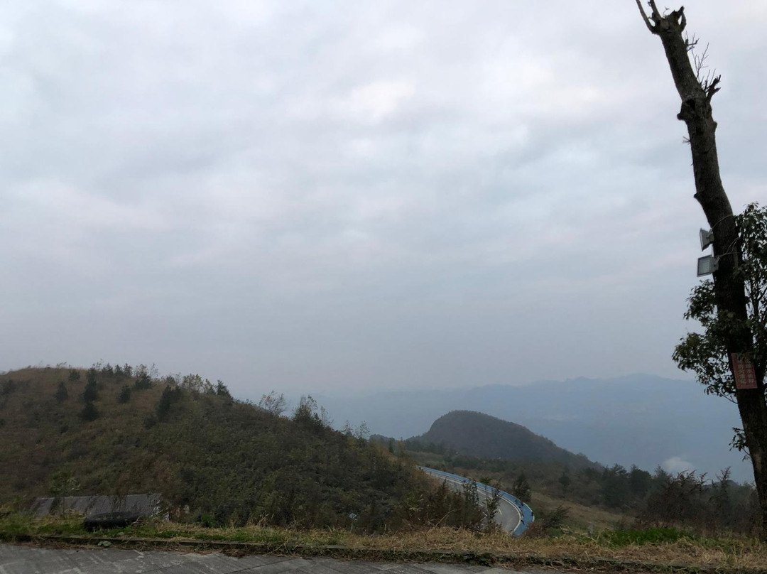 铭雨龙缸假日大酒店主图