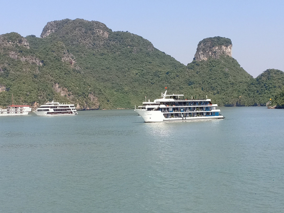 Rosy Cruise-海防必去景点