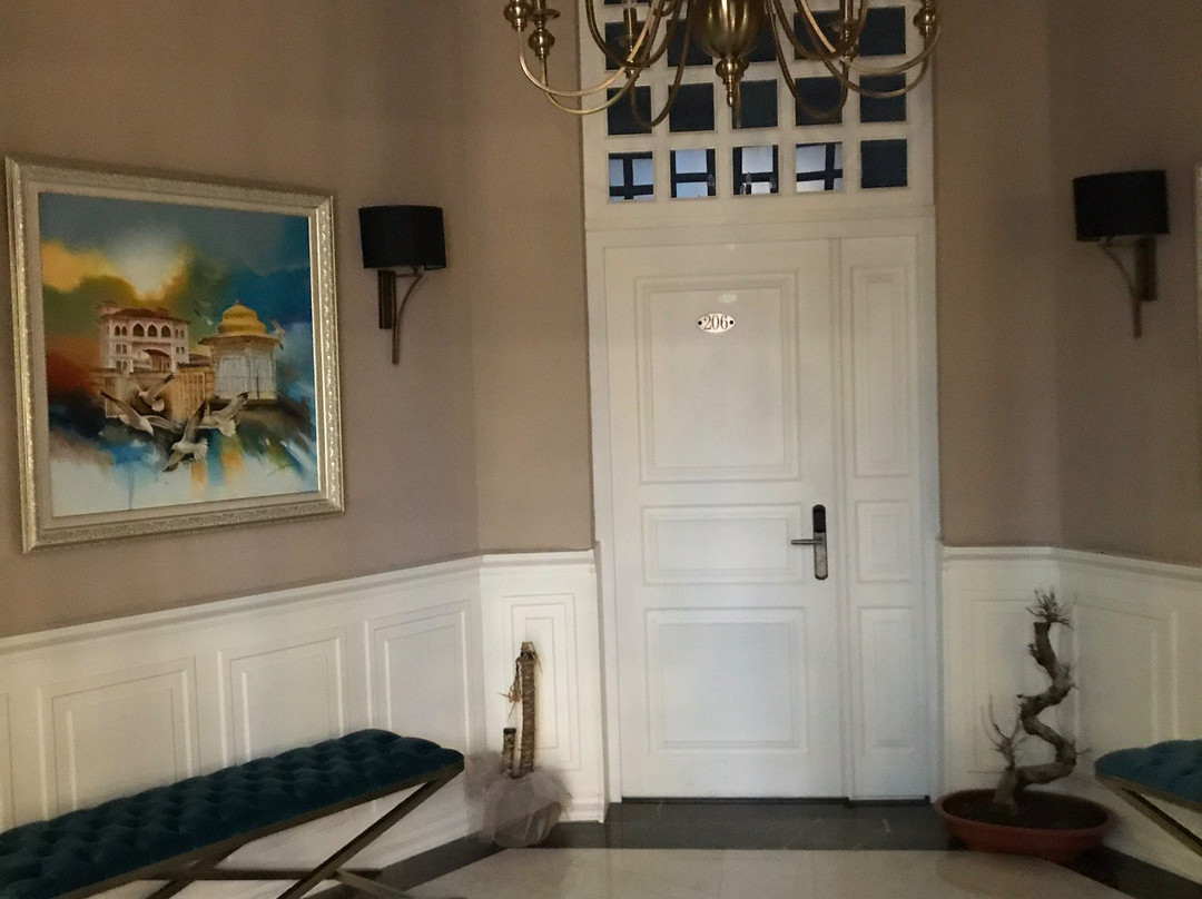 Bandırma Palas Hotel主图