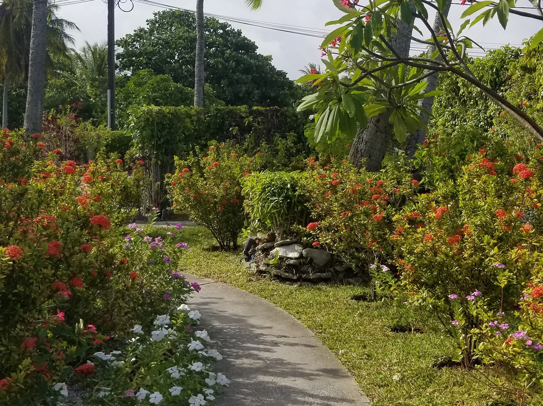 Bounty Rangiroa - Lodge & Boutique Hotel主图
