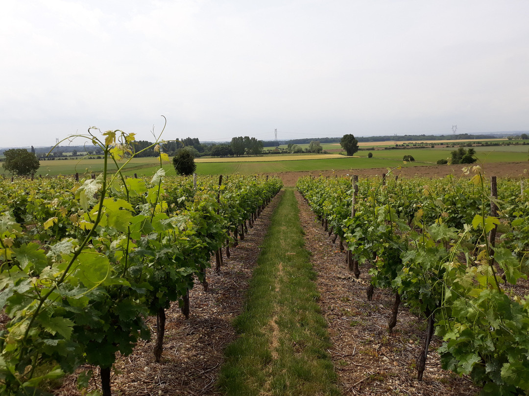 Domaine de la Grézille景点图片