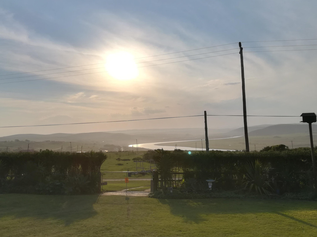 African Oystercatcher Birding Safaris-Hamburg必去景点