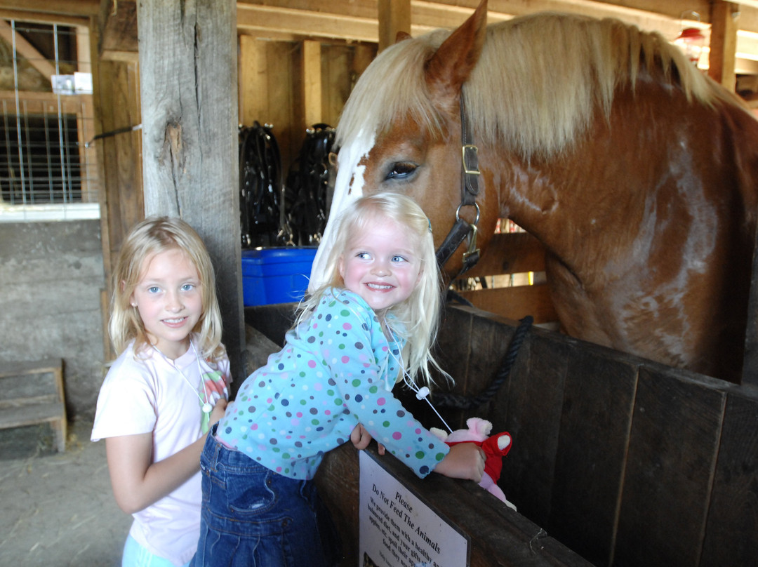 Historic Wagner Farm-格伦维尤必去景点