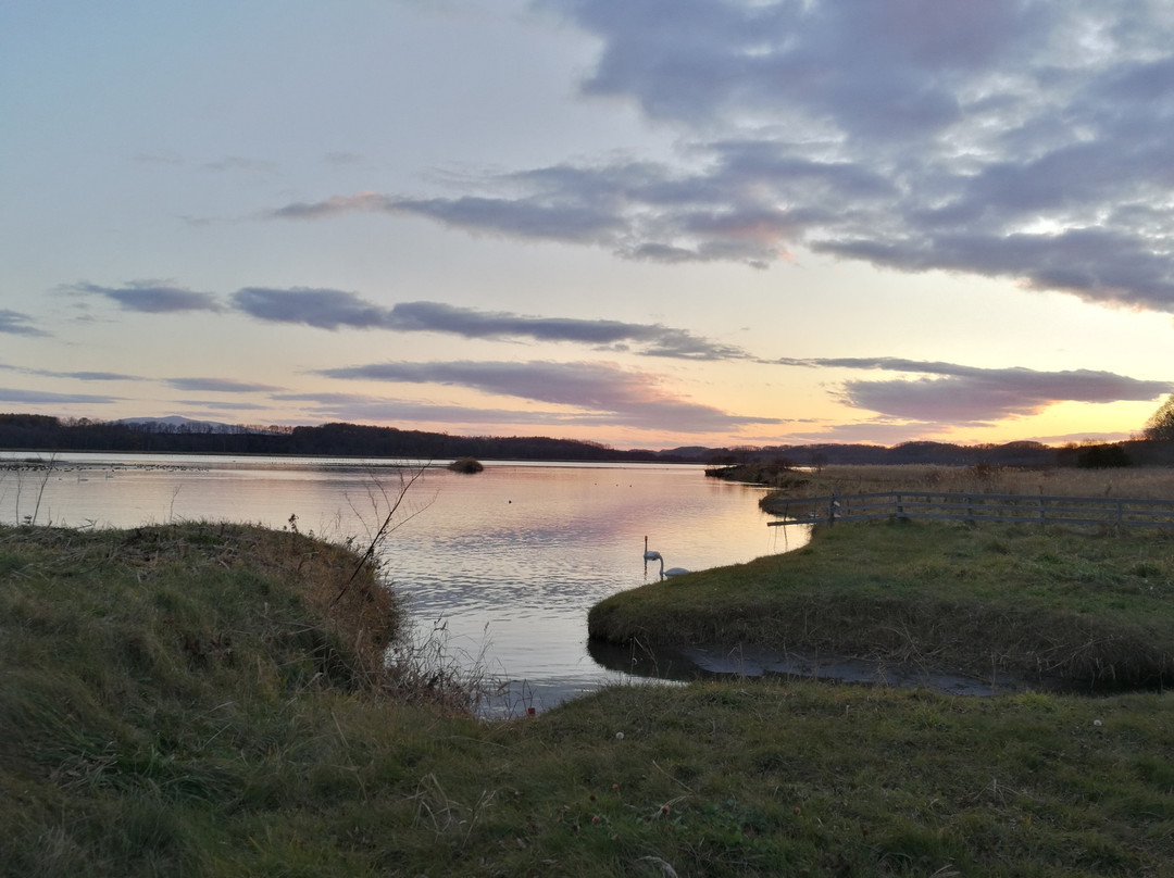 Tofutsu-ko Waterfowl And Wetland Center-网走市必去景点