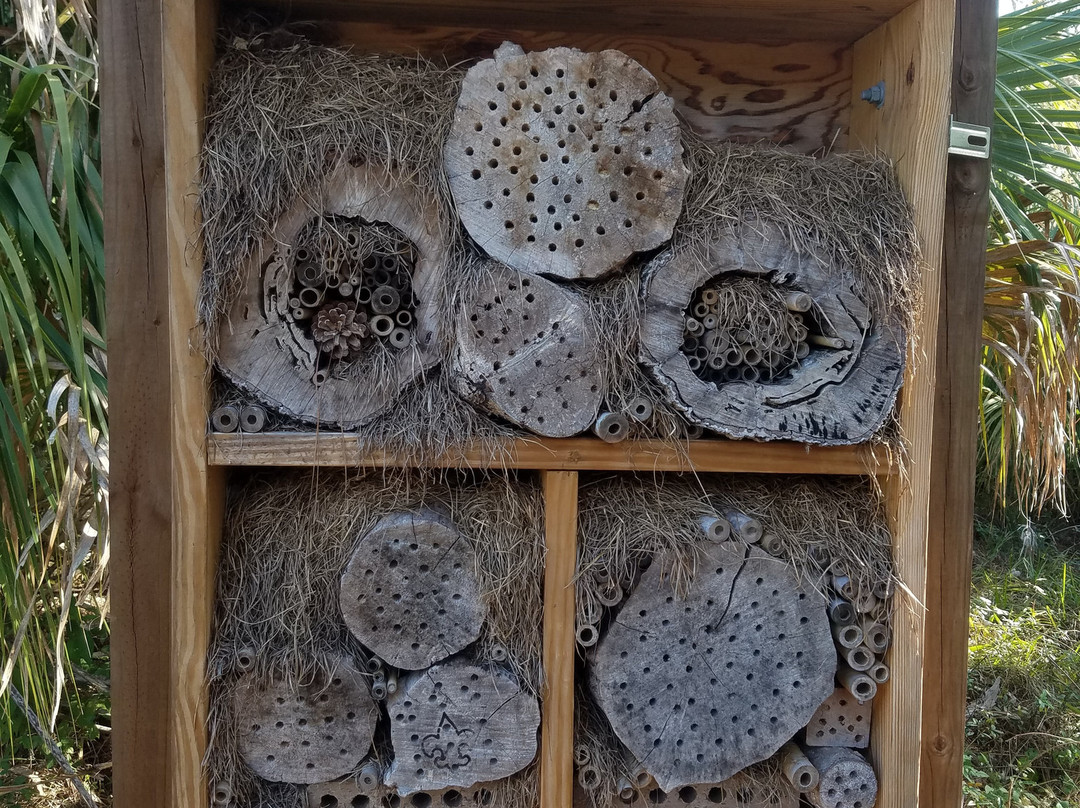 Felts Audubon Preserve-Palmetto必去景点