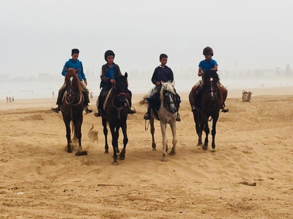 Essaouira Trip-索维拉必去景点