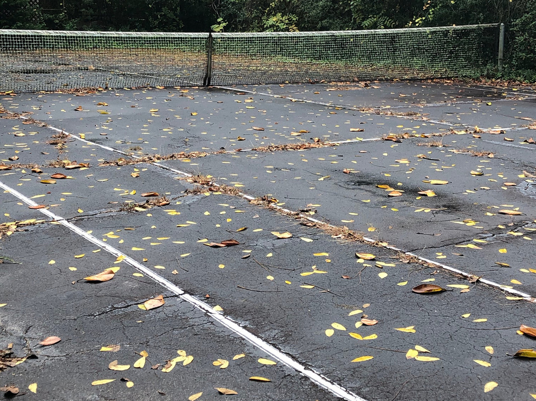 The Hampton House主图