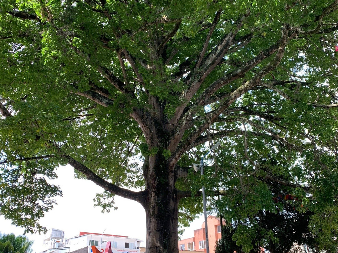 Parque Sucre-亚美尼亚必去景点