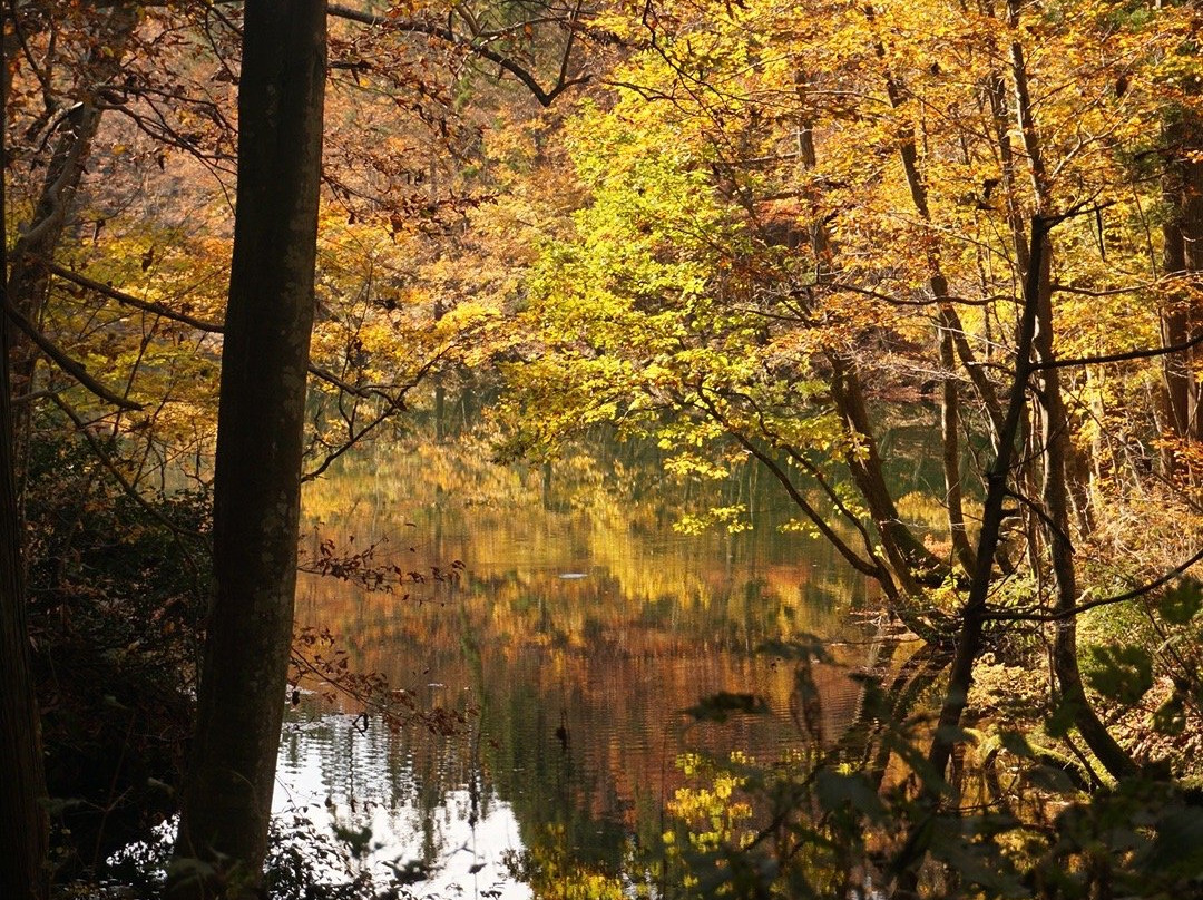 Ryugakubonomizu-津南町必去景点