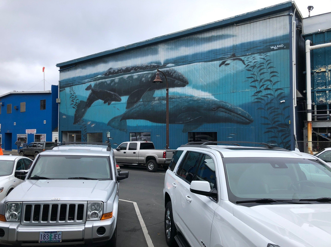 Newport's Historic Bayfront-纽波特必去景点