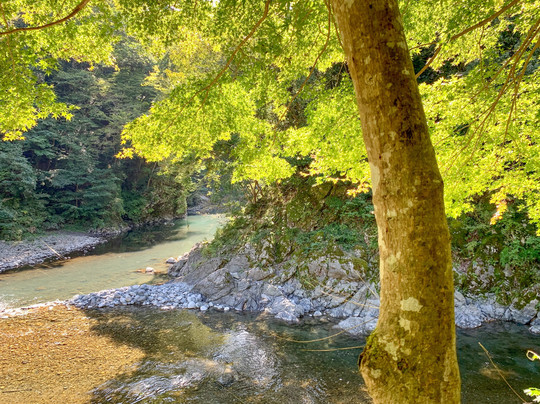 Hikawa Valley-奥多摩町必去景点