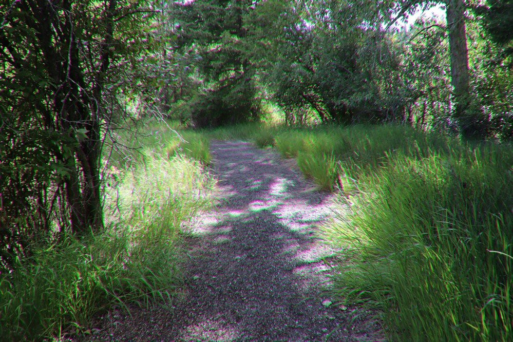 Beavertail Hill State Park Campground景点图片