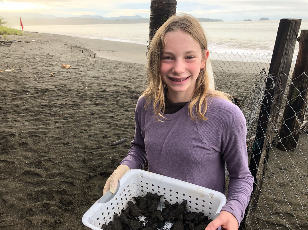 Morrillo Beach Eco Resort主图