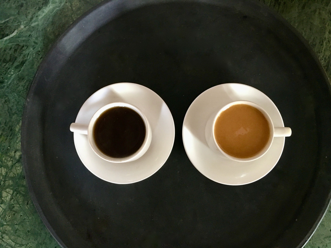 The Royal Panacea主图