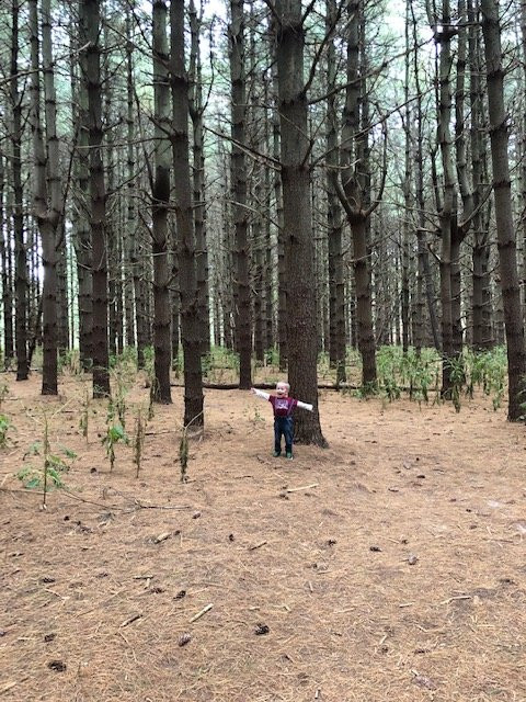 Killens Pond State Park-Felton必去景点