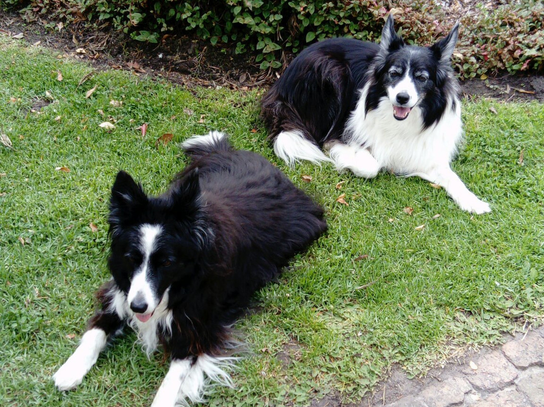 穆尔文庄园乡村酒店主图