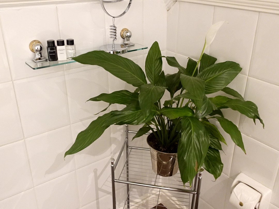 River Manor Boutique Hotel主图