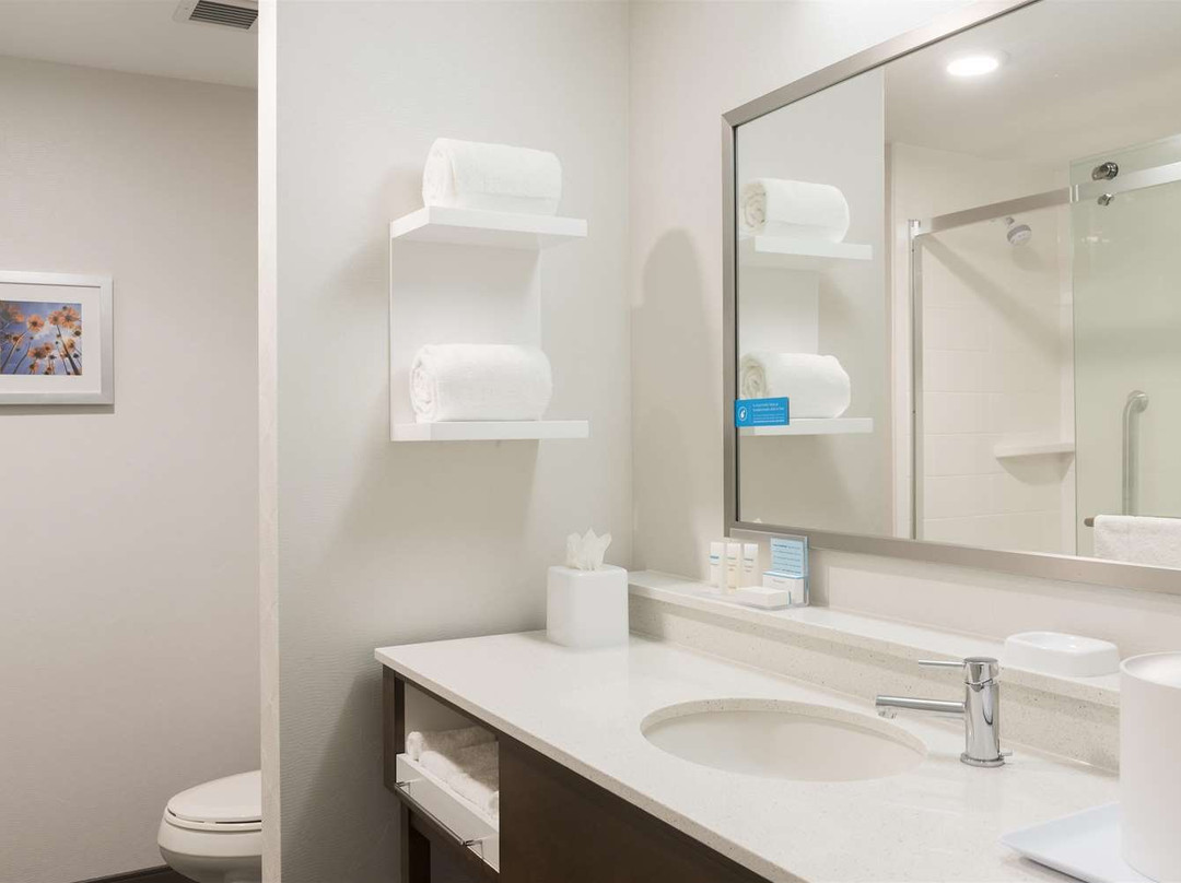 Hampton Inn - Westfield Indianapolis主图