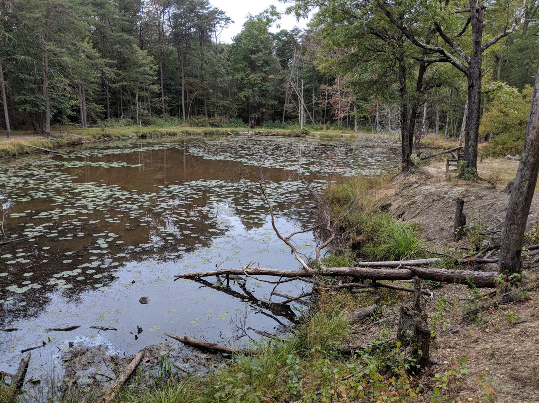 Patuxent Research Refuge - North Tract-Laurel必去景点