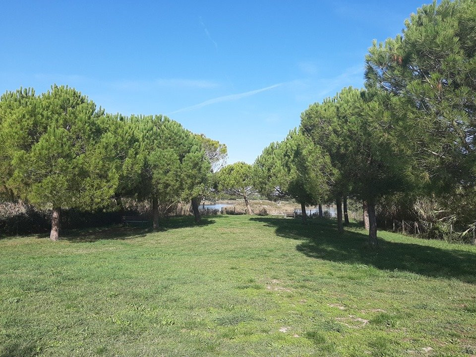 Oasi Parco dei Laghetti景点图片