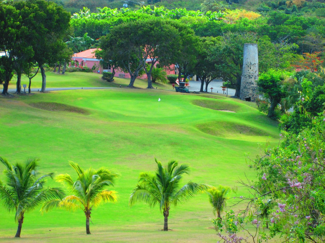 Buccaneer Golf Course-Christiansted必去景点