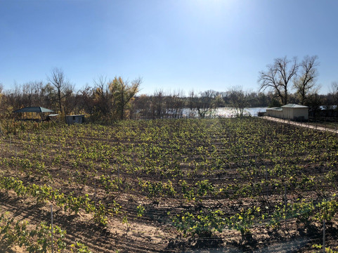 Vinograd-Kilyakovka必去景点