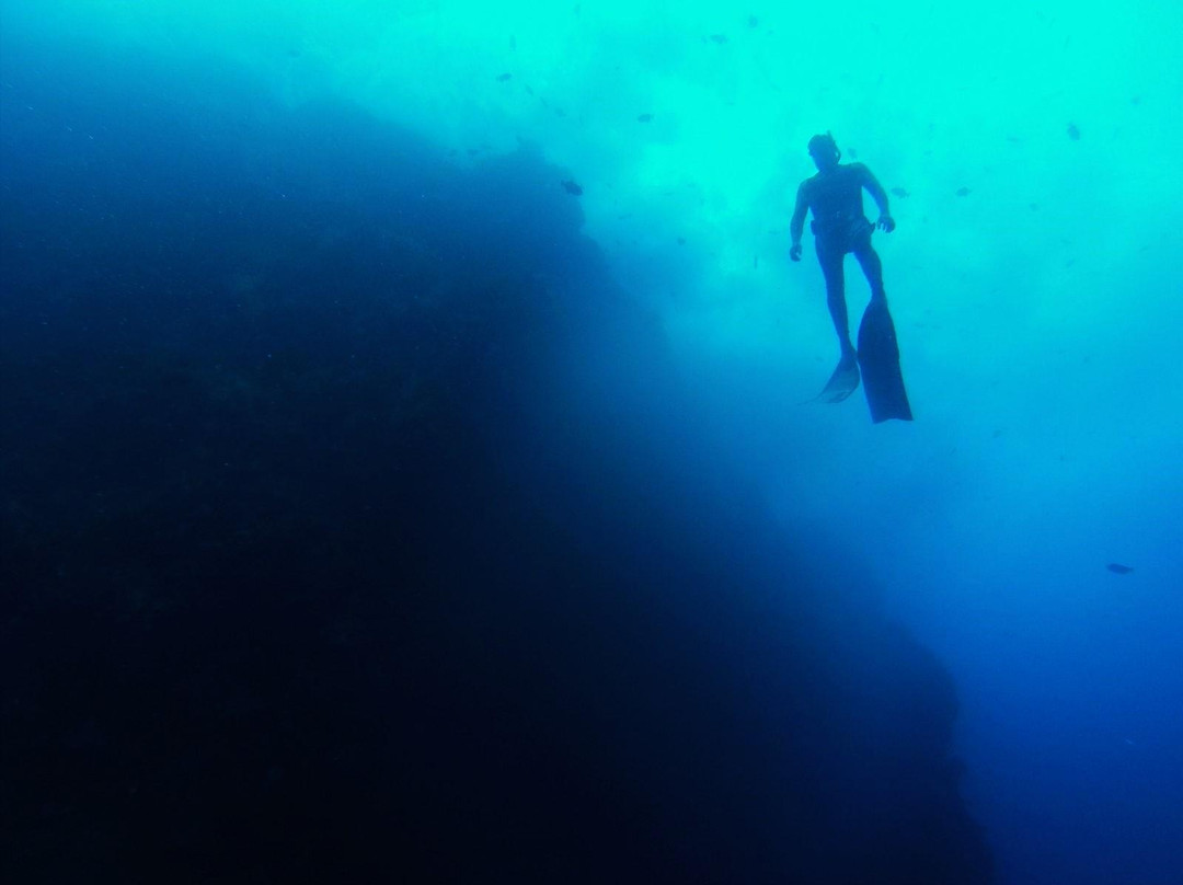 Saba Freediving School-Windwardside必去景点