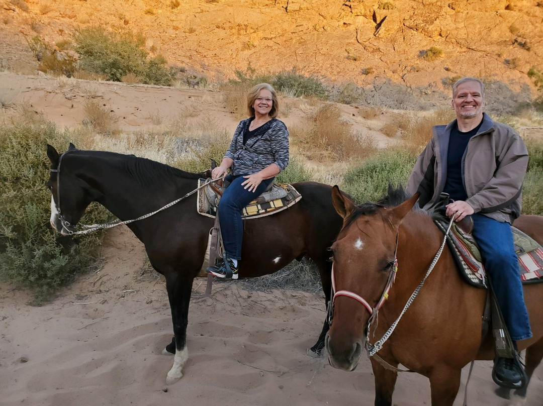 Wild West Horseback Adventures景点图片