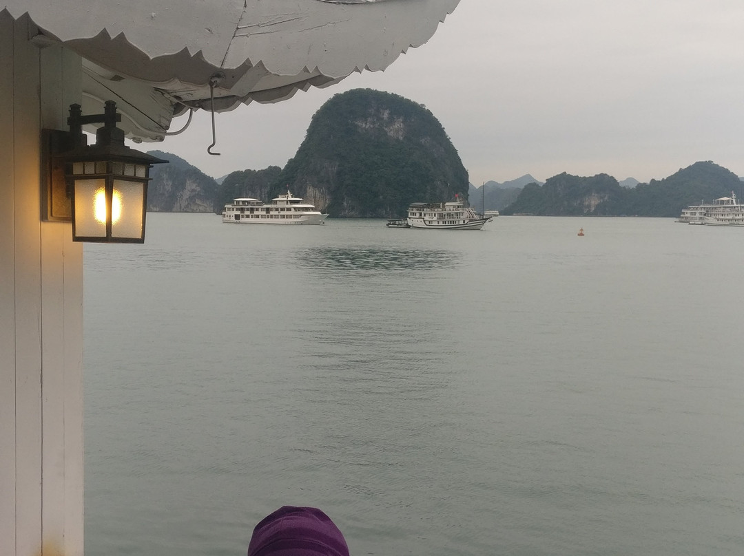 Camellia Cruise-团洲岛必去景点