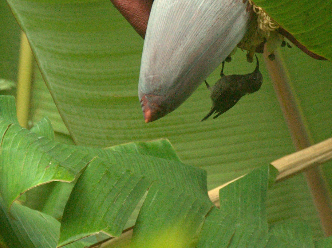 Bernique Guesthouse主图