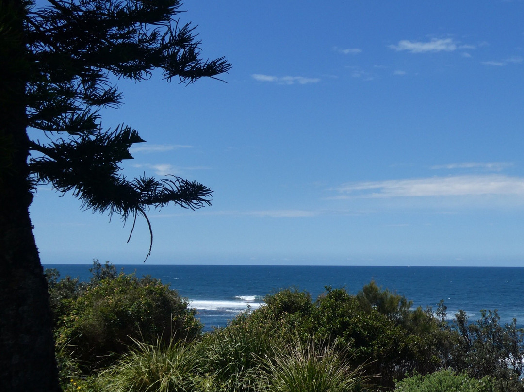 Toowoon Bay旅游攻略图片