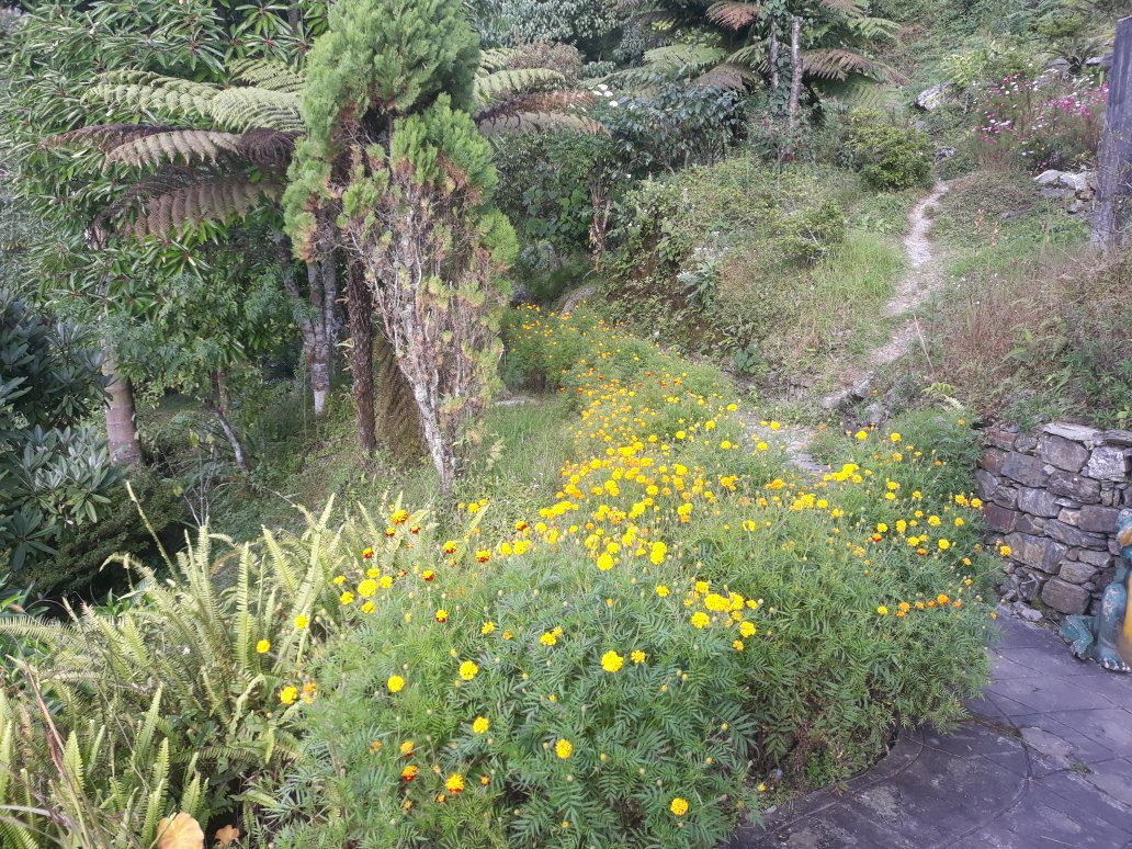 Rock Garden-Namchi必去景点