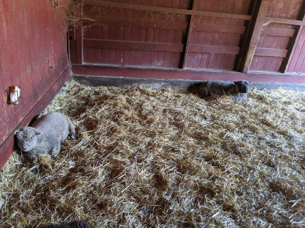 Muscoot Farm-Katonah必去景点