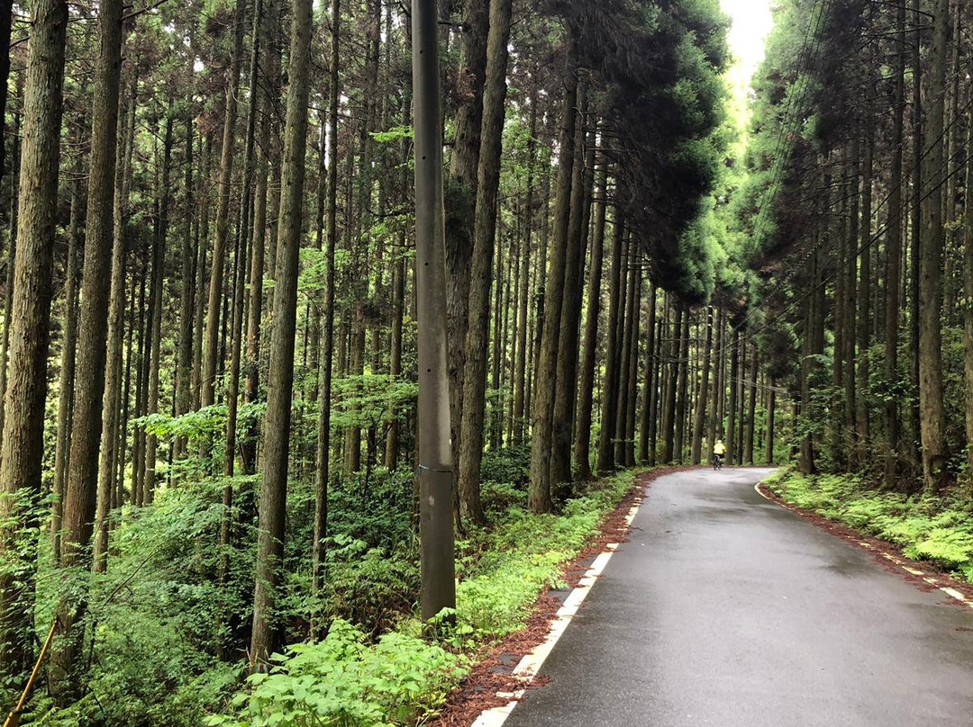 Japan Biking - Day Tours景点图片