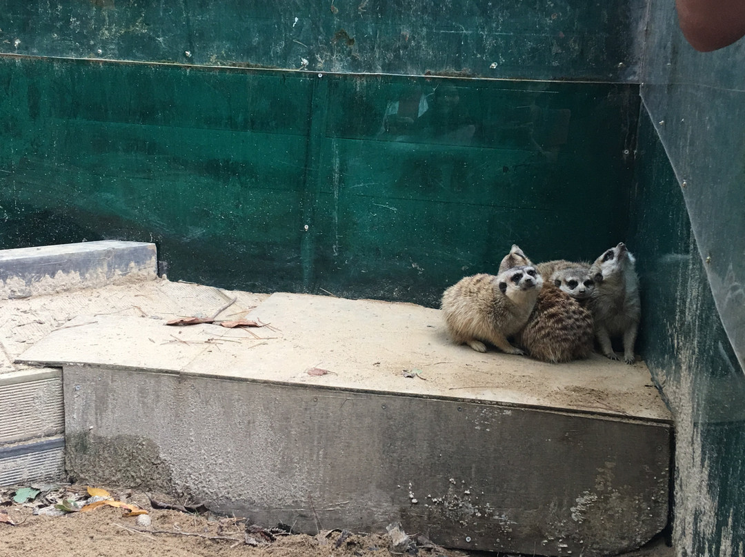 Jinyangho Zoo-晋州市必去景点
