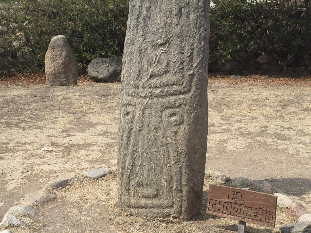 Archaeological Reserve Menhires景点图片