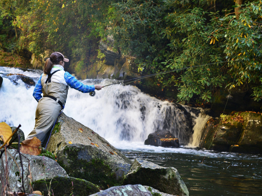 Noon Day Fly Fishing and Photography-罗宾斯维尔必去景点