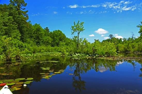 Lake Rim Park景点图片