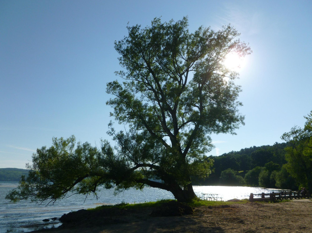 Glimmerglass State Park景点图片