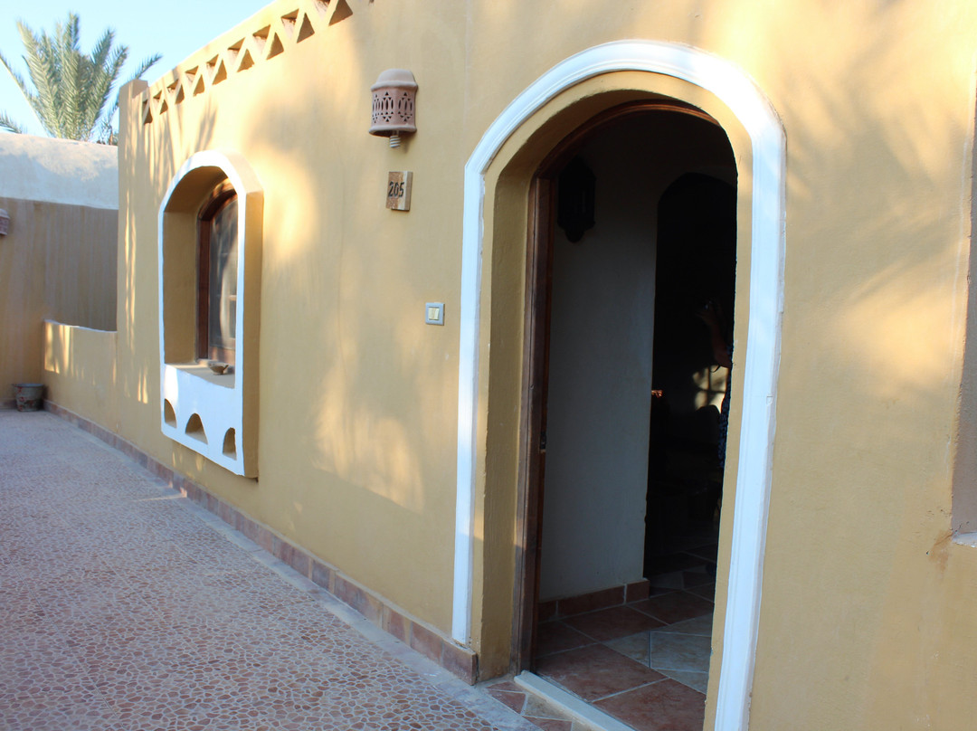 Siwa Safari Gardens Hotel主图