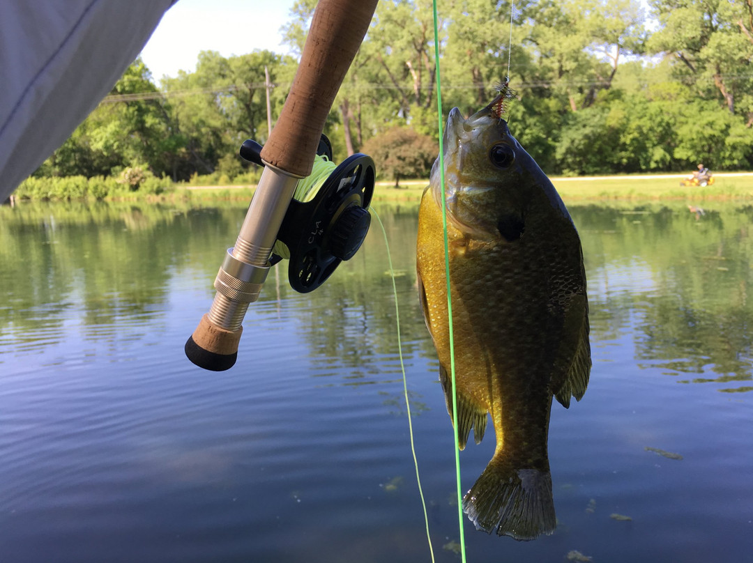 Schramm Education Center