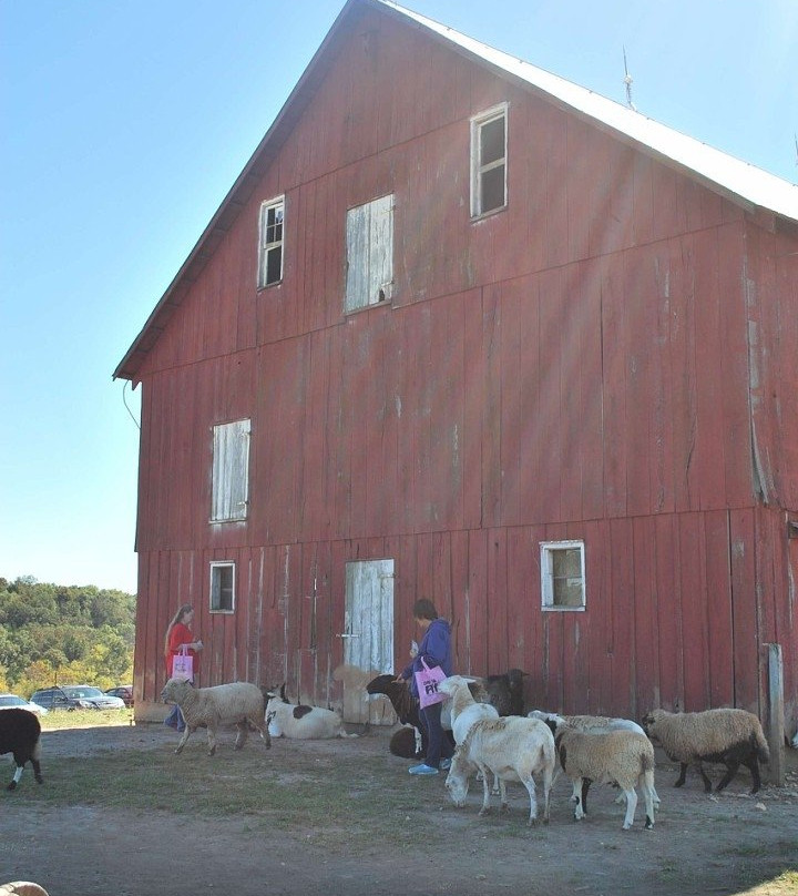 Where Pigs Fly Farm & Pigs Aloft Museum-Linn必去景点