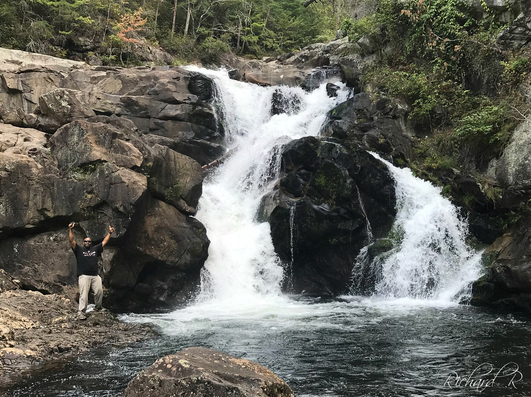 Jacks River Falls景点图片