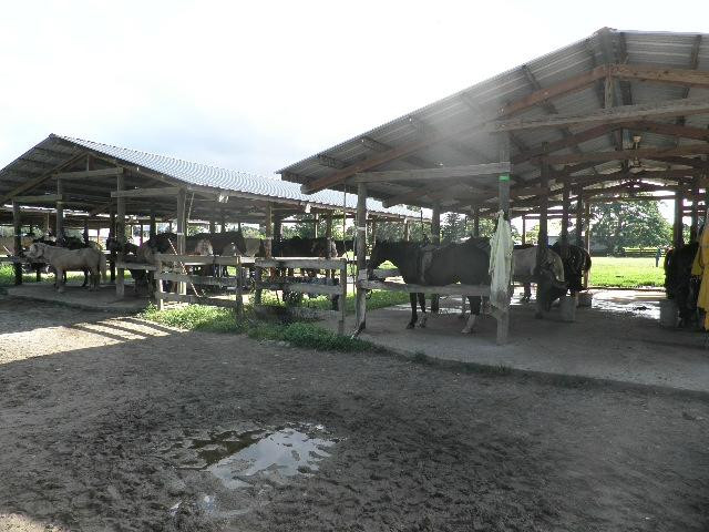 Bar-B-Ranch-戴维必去景点