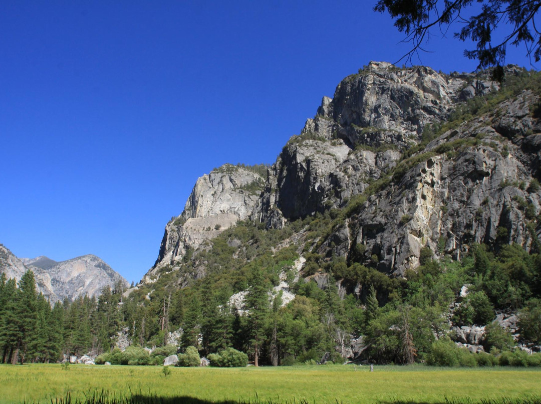 Zumwalt Meadow Trail