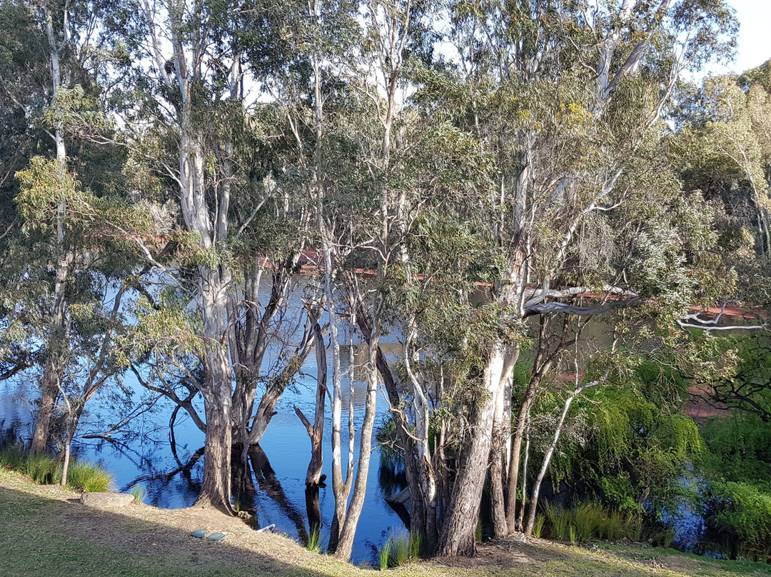 The Mitchelton Hotel Nagambie主图