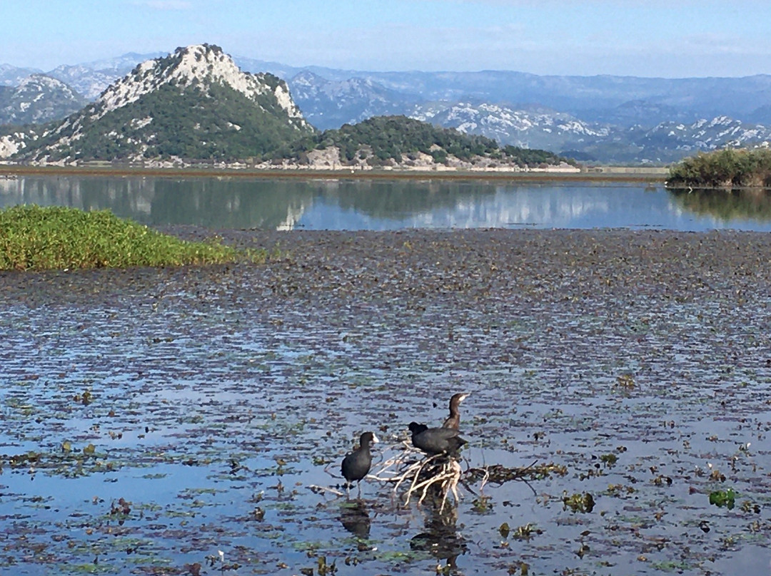 Bocconcino Boat Cruising-维尔巴札拉必去景点