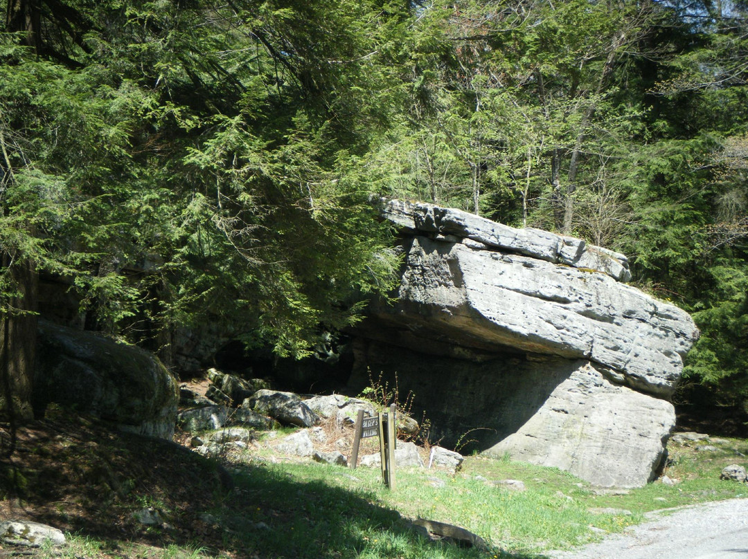 Bilger's Rocks景点图片