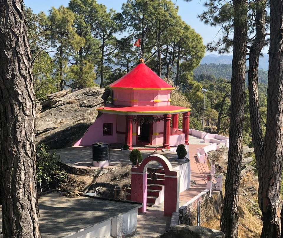 Kasaar Jungle Resort主图