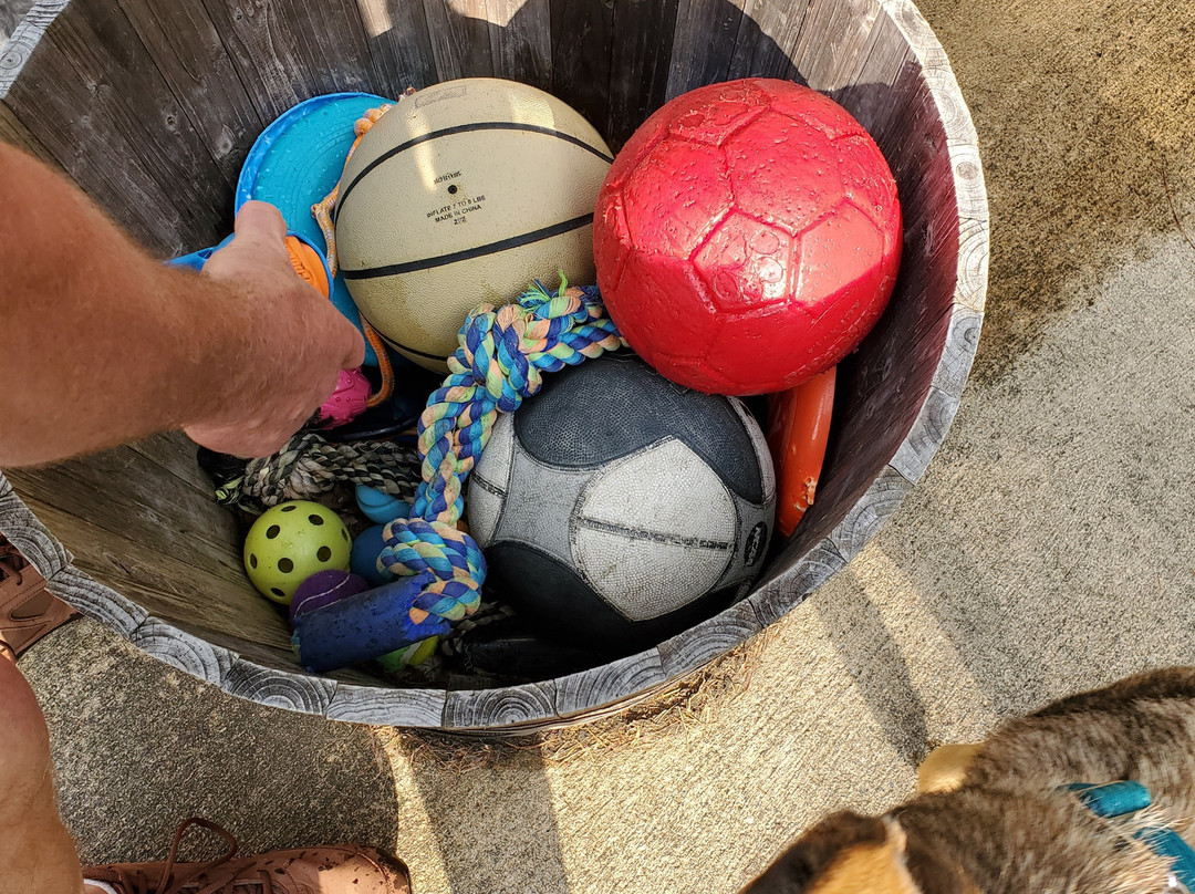 3B's Inn Bed Breakfast & Biscuits主图